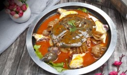 麻辣甲鱼爆料视频,娱乐圈幕后真相大曝光