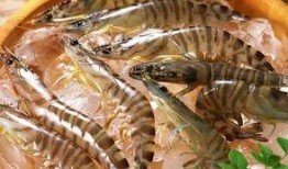 国内养殖虾爆料案件最新,揭秘国内养殖行业最新爆料事件